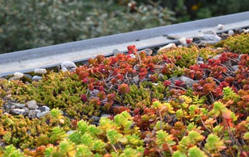 the cost of Tong Forge green roof installation