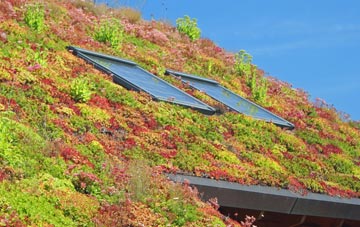 Tong Forge living roof systems