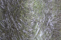 Tong Forge fibreglass roof work